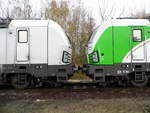 Am 05.11 .2017   die 193 289-6  und die 193 812-5 von   in Borstel  .
